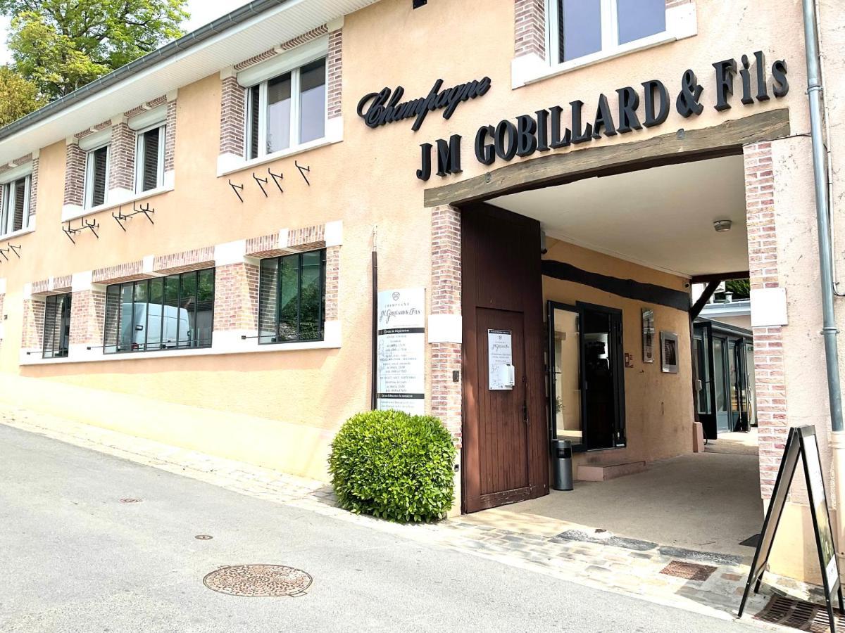 Les Loges Du Theatre Degustation Champagne Offerte Jacuzzi Sauna Jeux Velos Maison Prive 150M2 Historique 14Pers Max Emplacement Exceptionnel Et Chic, 200M De L'Avenue De Champagne, Gare, Musee, Jardins, Restaurations, Toutes Commodites Epernay Luaran gambar