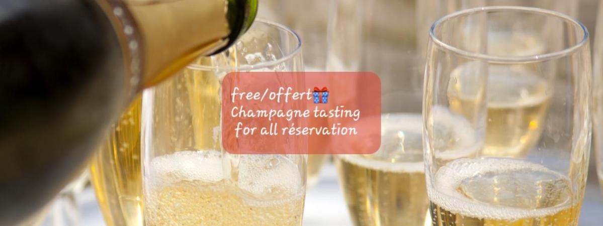 Les Loges Du Theatre Degustation Champagne Offerte Jacuzzi Sauna Jeux Velos Maison Prive 150M2 Historique 14Pers Max Emplacement Exceptionnel Et Chic, 200M De L'Avenue De Champagne, Gare, Musee, Jardins, Restaurations, Toutes Commodites Epernay Luaran gambar