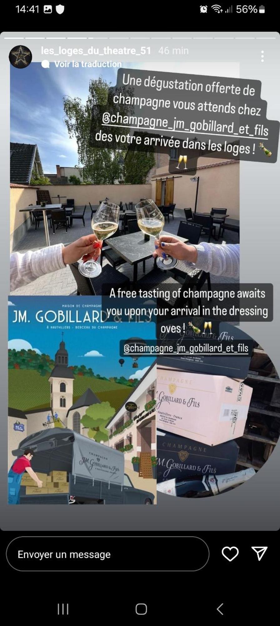 Les Loges Du Theatre Degustation Champagne Offerte Jacuzzi Sauna Jeux Velos Maison Prive 150M2 Historique 14Pers Max Emplacement Exceptionnel Et Chic, 200M De L'Avenue De Champagne, Gare, Musee, Jardins, Restaurations, Toutes Commodites Epernay Luaran gambar