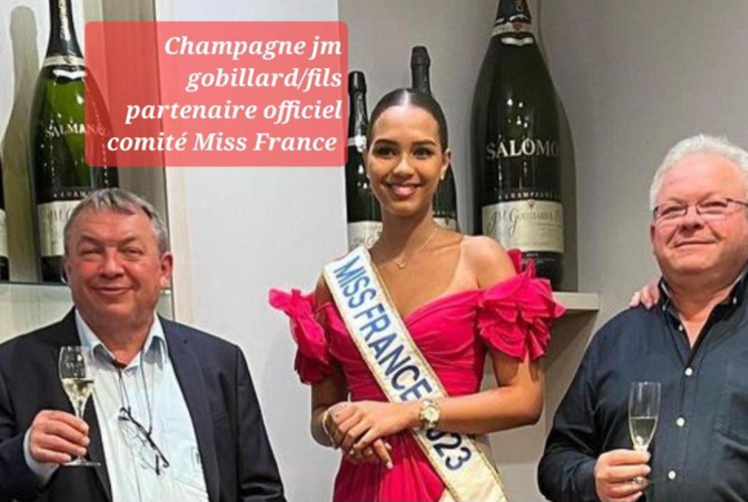 Les Loges Du Theatre Degustation Champagne Offerte Jacuzzi Sauna Jeux Velos Maison Prive 150M2 Historique 14Pers Max Emplacement Exceptionnel Et Chic, 200M De L'Avenue De Champagne, Gare, Musee, Jardins, Restaurations, Toutes Commodites Epernay Luaran gambar