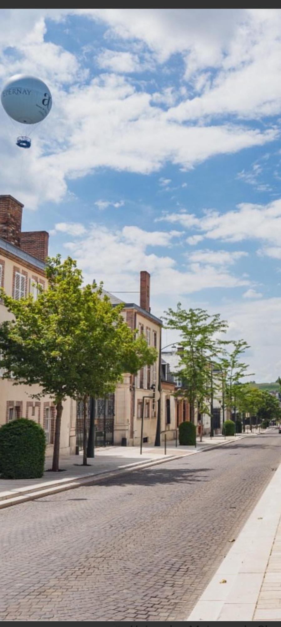 Les Loges Du Theatre Degustation Champagne Offerte Jacuzzi Sauna Jeux Velos Maison Prive 150M2 Historique 14Pers Max Emplacement Exceptionnel Et Chic, 200M De L'Avenue De Champagne, Gare, Musee, Jardins, Restaurations, Toutes Commodites Epernay Luaran gambar